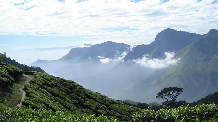 Discovering Top Station: A Spectacular Viewpoint in Munnar, Kerala