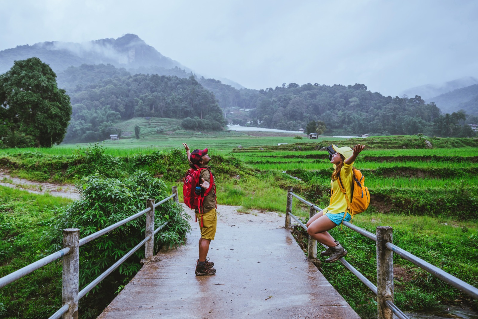 Discover Kerala: A Comprehensive Guide to God’s Own Country