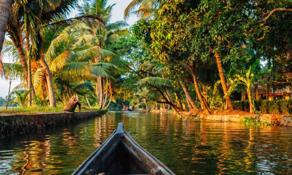 Exploring Kerala's Enchanting Backwaters: A Journey Through Tranquility