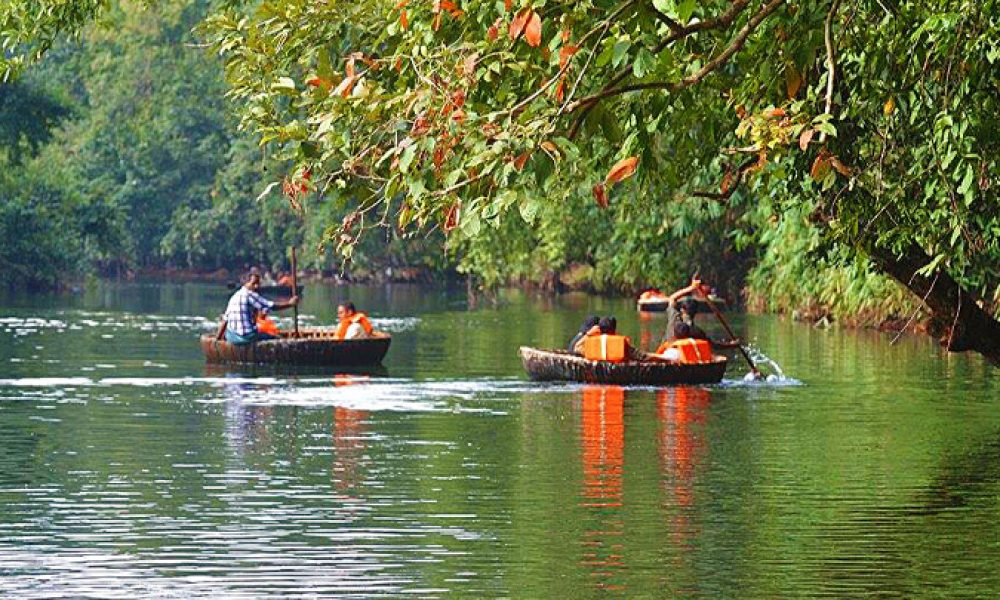 Exploring Kerala's Districts: Your Guide to God's Own Country