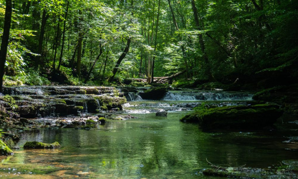 Top 5 Waterfalls in Kerala: Nature’s Beauty at Its Best