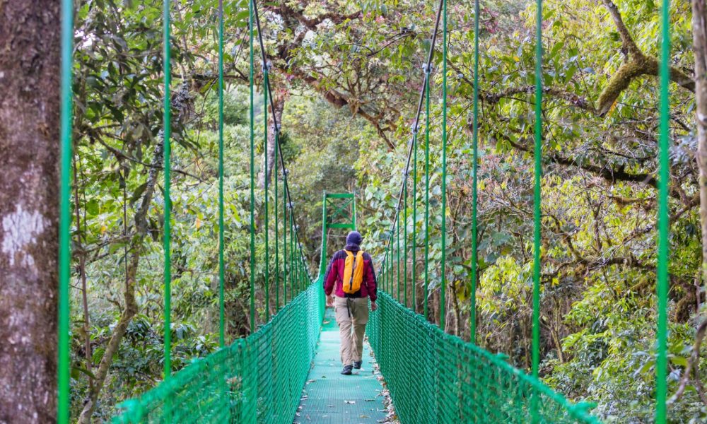 kerala tourism